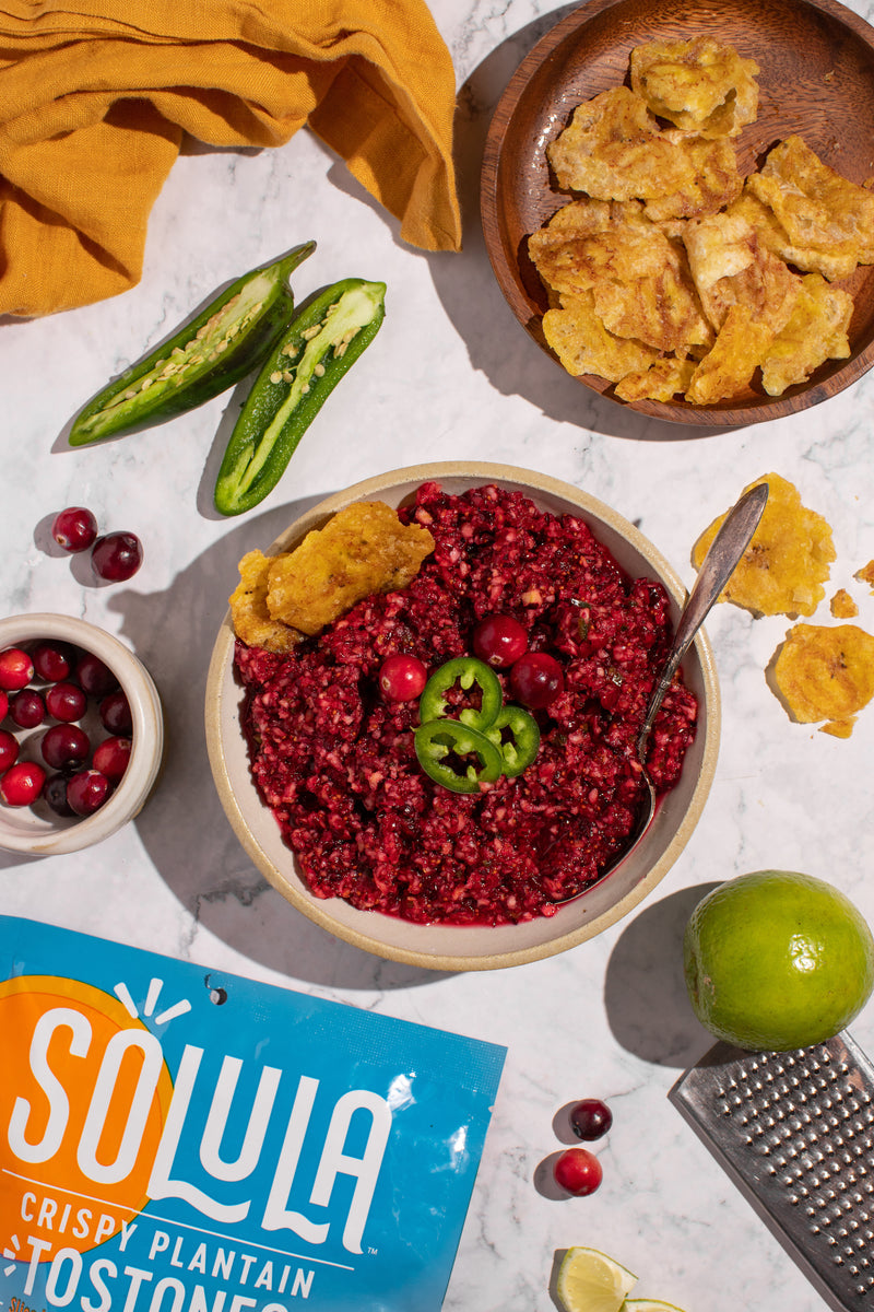 Cranberry Relish Dip – Solula